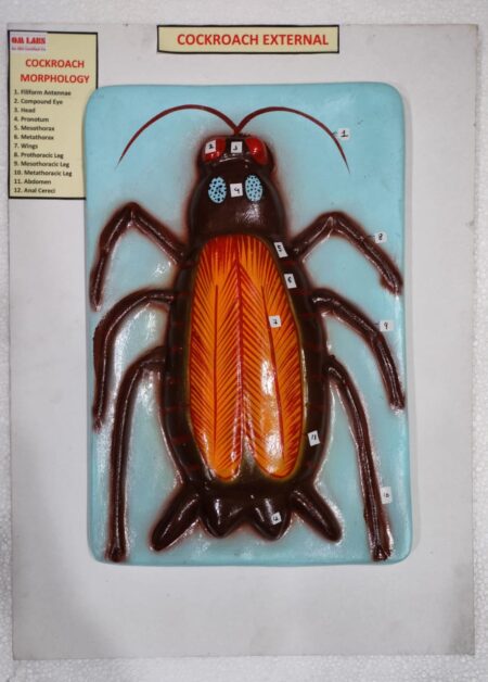 Cockroach External System On Board