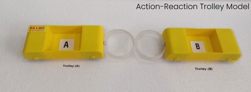 Newton's Third Law Of Motion | Action Reaction Trolley Model - Image 2