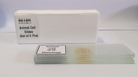 Animal Cell Prepared Microscope Slide Set (Set of 5 Pcs.) with Box
