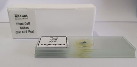 Plant Cell Prepared Microscope Slide Set (Set of 5 Pcs.) with Box