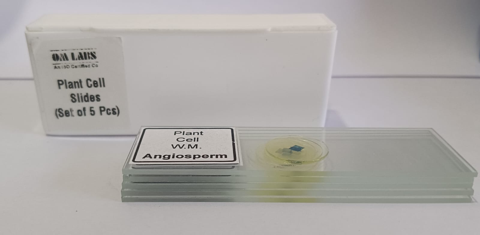 Plant Cell Prepared Microscope Slide Set (Set of 5 Pcs.) with Box
