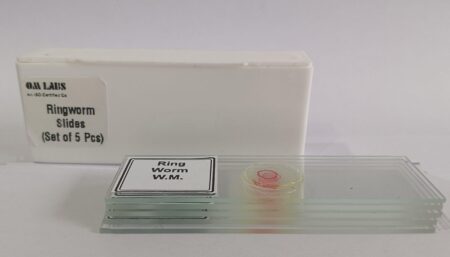 Ringworm Prepared Microscope Slide Set (Set Of 5Pcs.)
